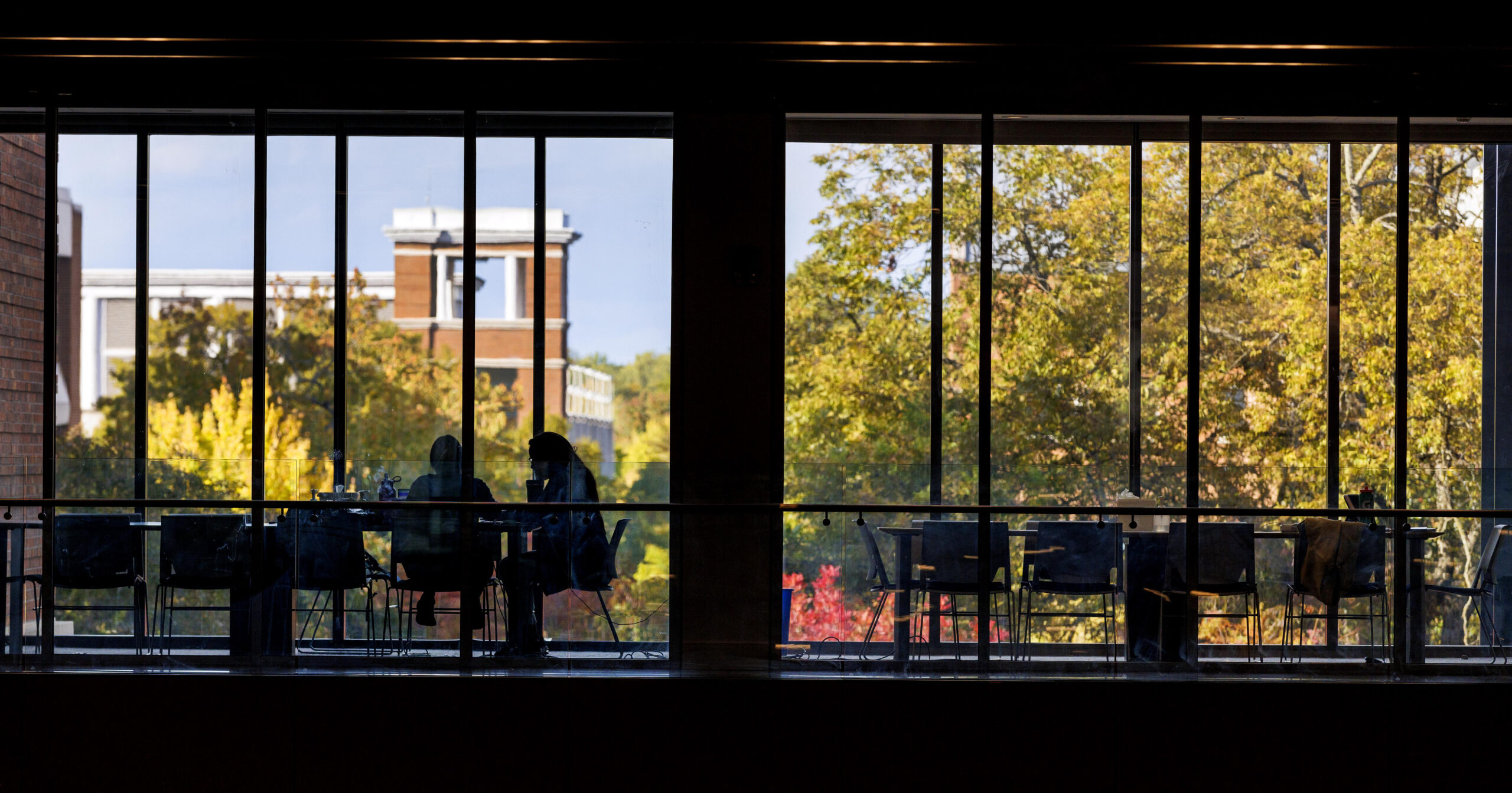 Silhouettes of UNCG students seated by large windows.