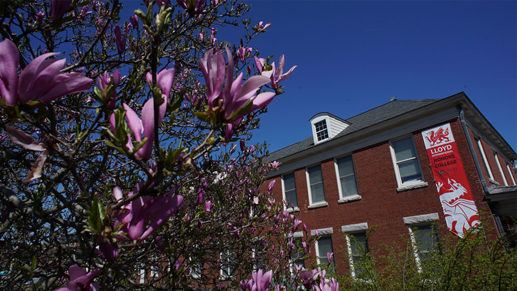 Springtime blossoms grow on the trees outside UNCG's Lloyd International Honors College.