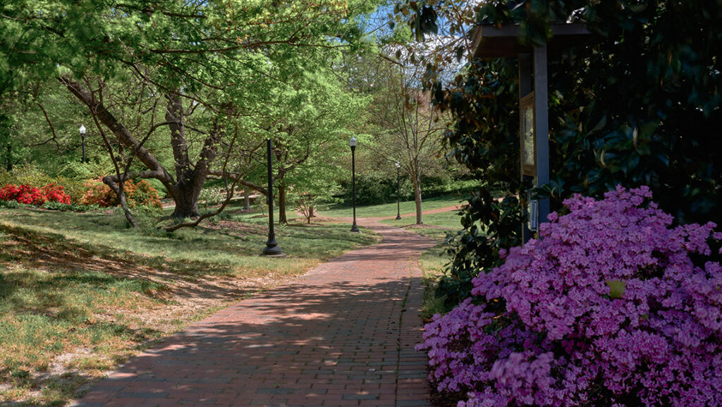 One of UNCG's brick paths on a spring day.