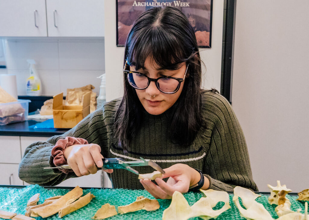Student studies bones in a lab setting.