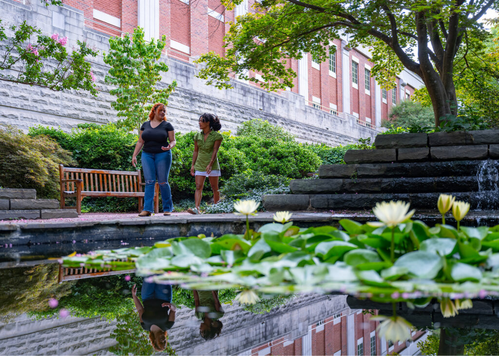 Lily pads float on a pond in gardens beside the school of music.