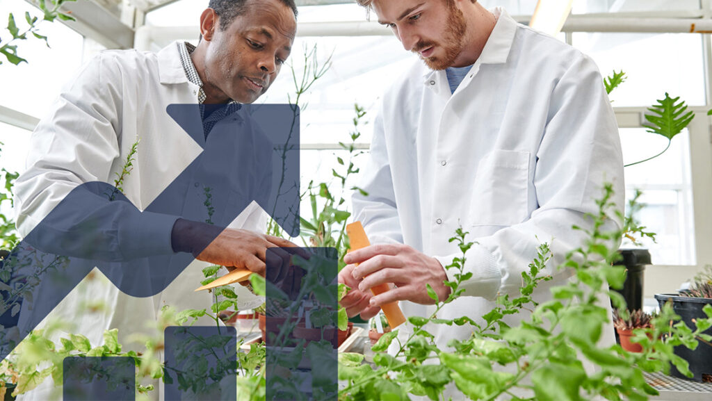 A UNCG faculty member and student work with plants in the greenhouse.