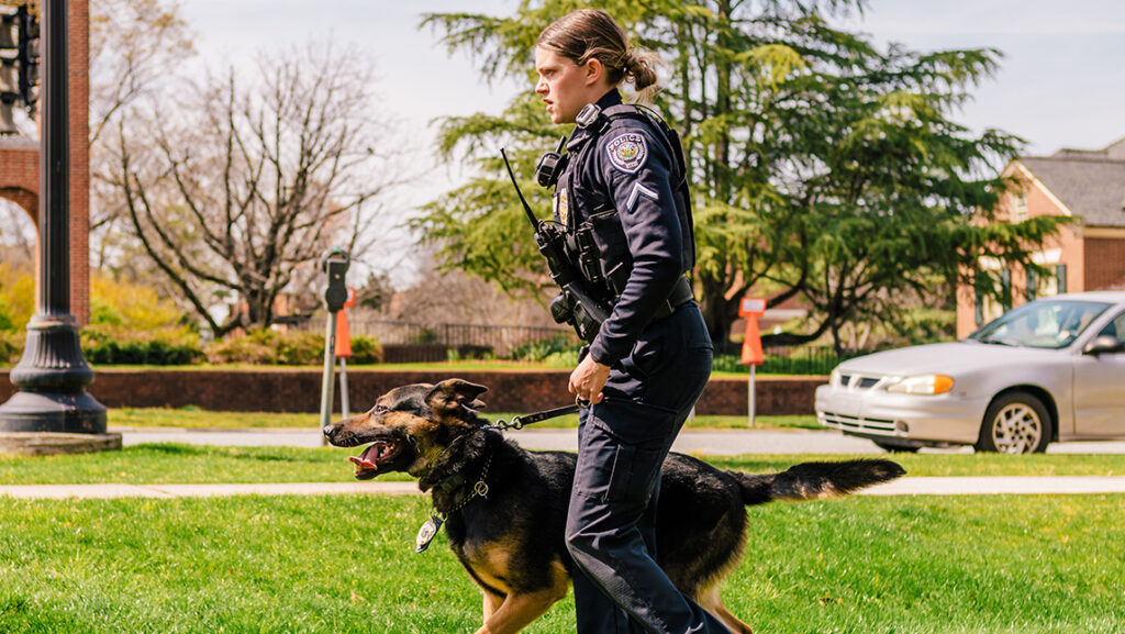 A UNCG police officer walks across campus with the police K-9.