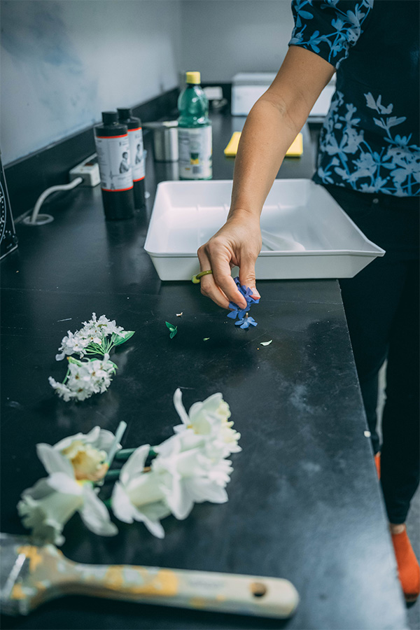 UNCG photography associate professor Leah Sobsey picks up flowers on a countertop.