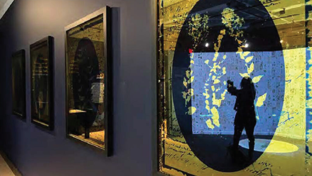 Cyanotype photography of Thoreau's flowers overlayed in gold, made by UNCG associate professor of photography Leah Sobsey.