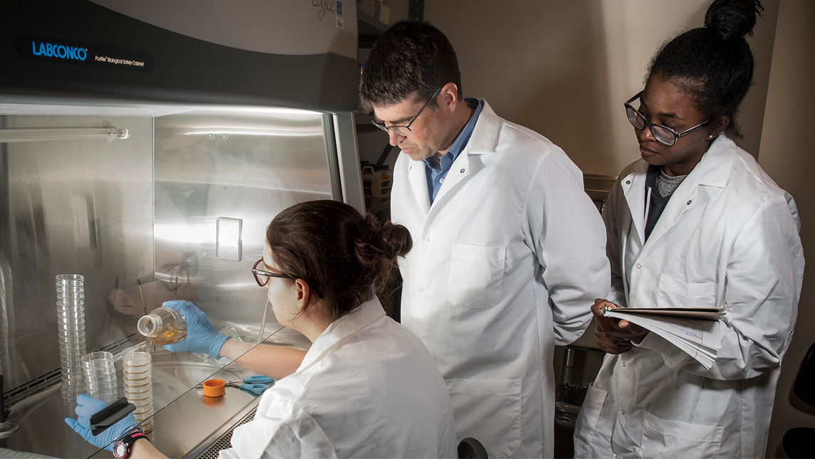 UNCG Professor Nick Oberlies oversees his students' work in a lab.