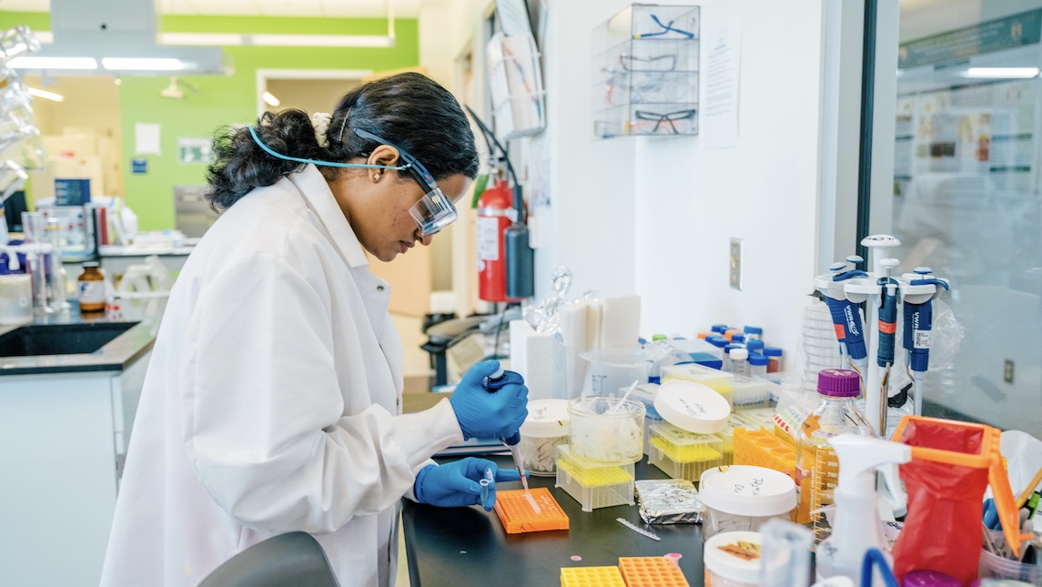 A JSNN student working on a project in the UNCG lab.