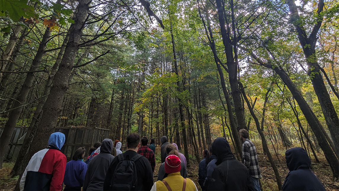 UNCG biology students walk through a forest.