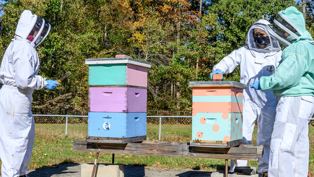 Students with in UNCG's pollinator center.