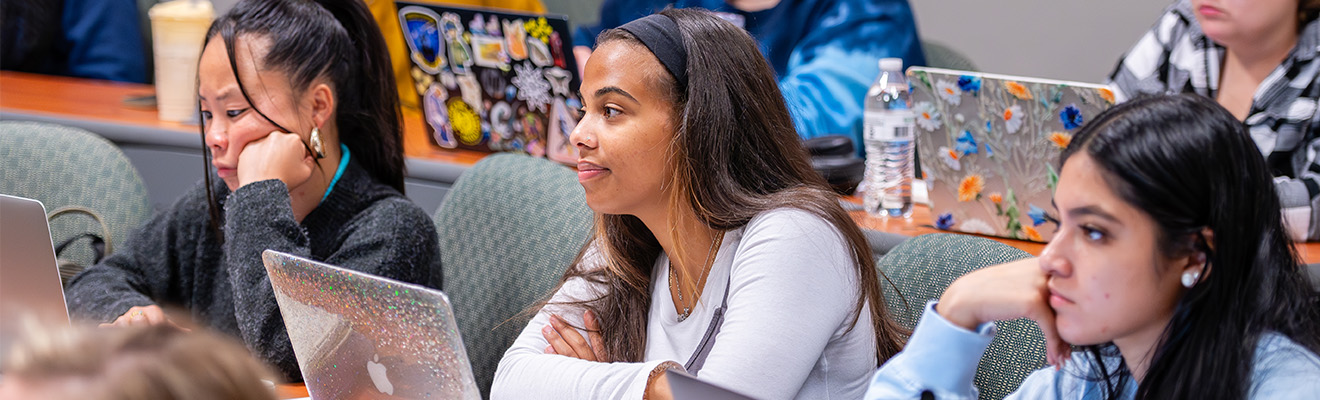 Students sit in a row in class with laptops.
