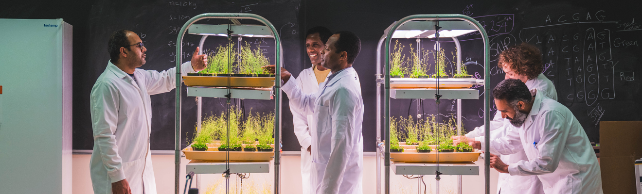 A group of scientists in white lab coats examining two racks of plant specimen positioned in front of a chalk board.