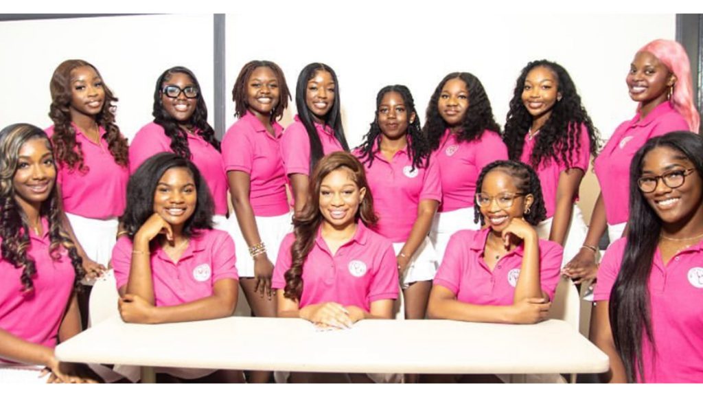 Melanin in Medicine members taking a picture in pink.