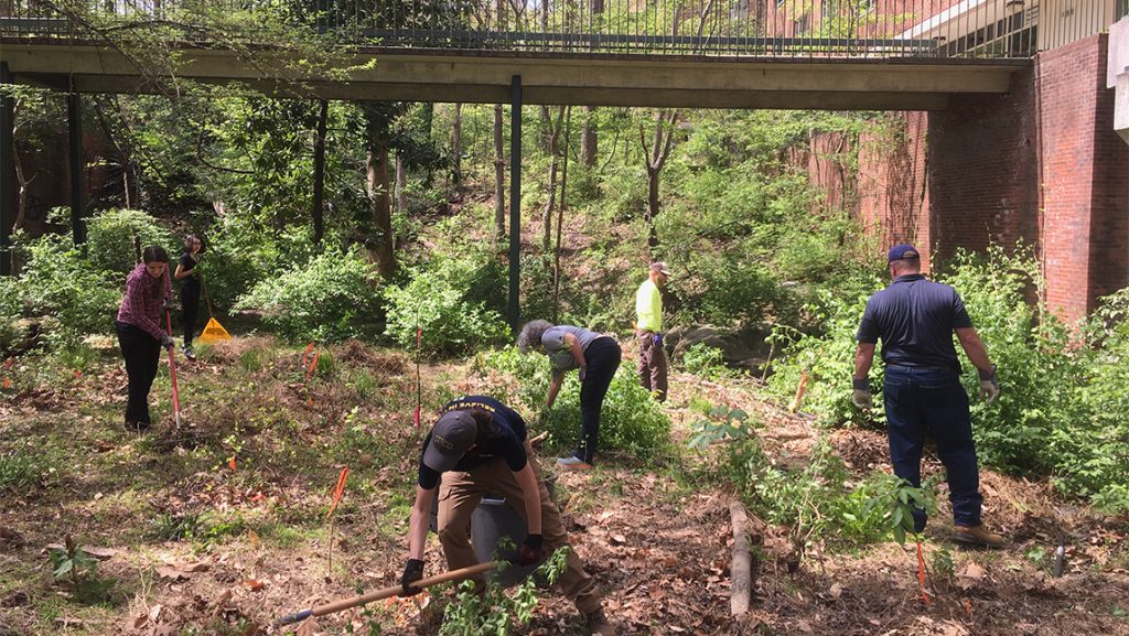 UNCG students do work in Peabody Park.