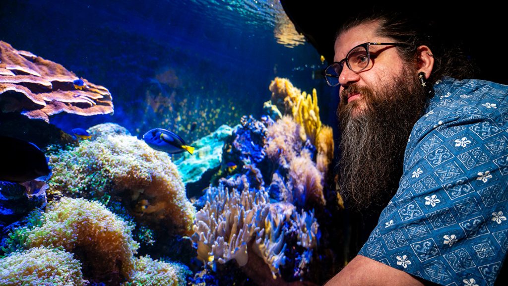 UNCG Assistant Professor Derek Skillings looks at a coral reef in an aquarium.