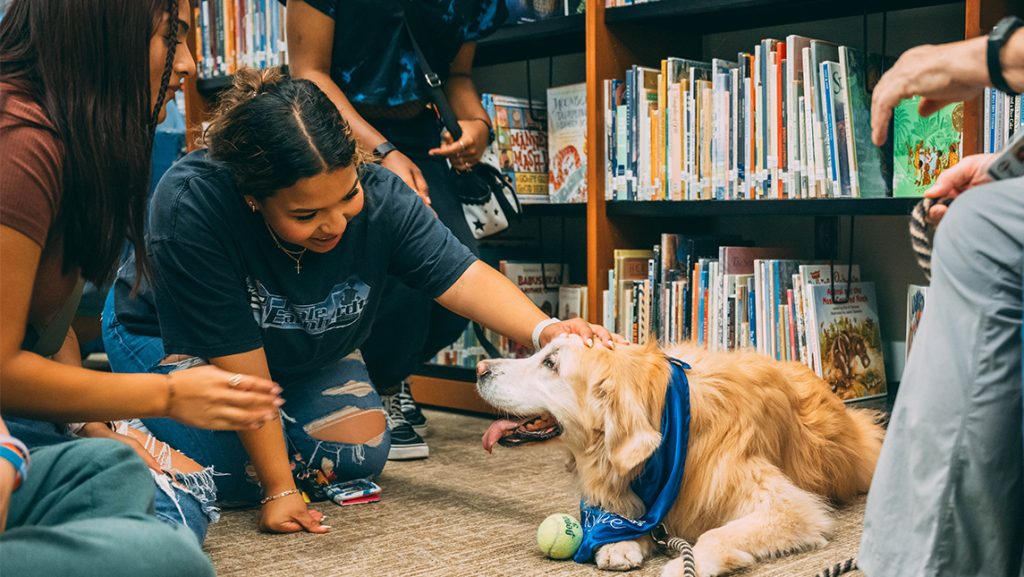 UNCG students pet a therapy dog.