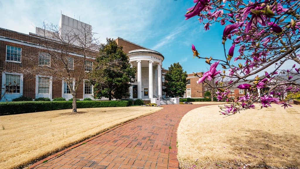Springtime blossoms on trees outside the UNCG library.