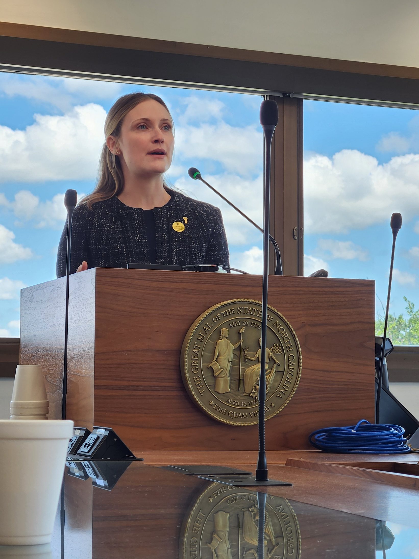MLIS student Sarah Leck speaks at a podium.