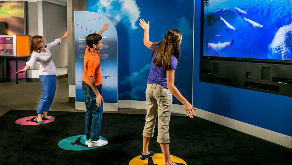 Children spread their arms in a virtual simulation to mimic geese flying.
