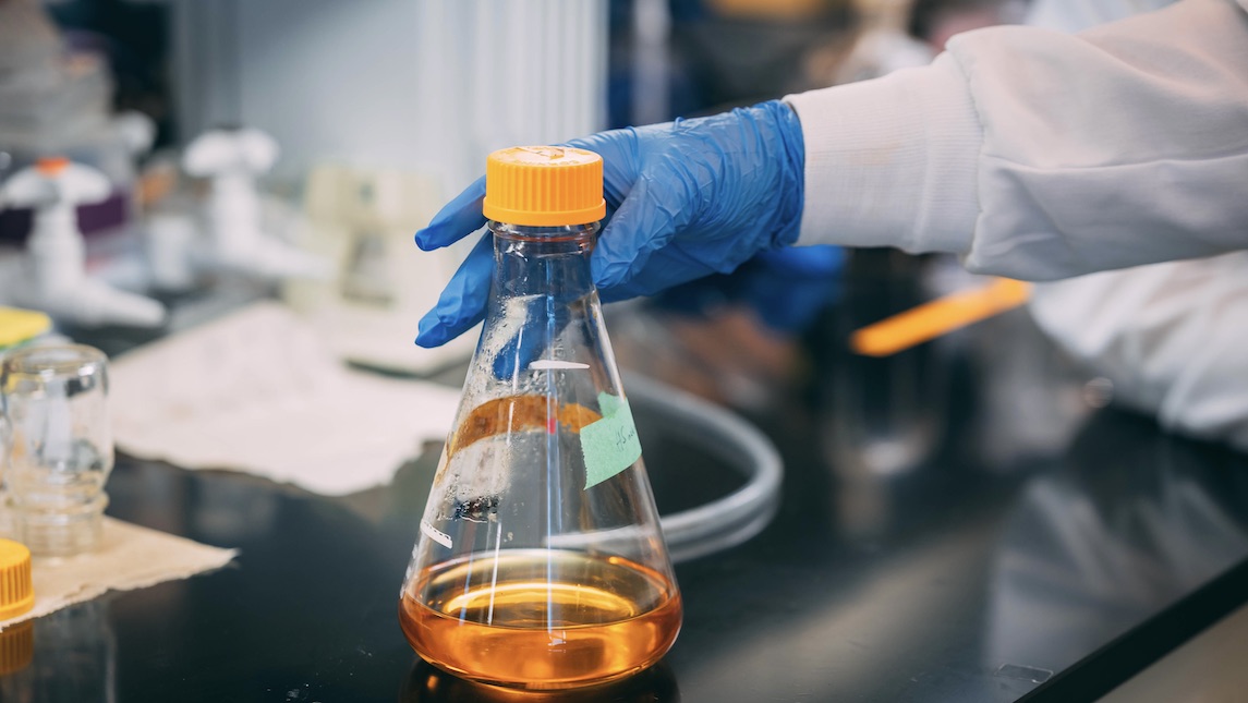 JSNN graduate Patience Kwara working in the lab.