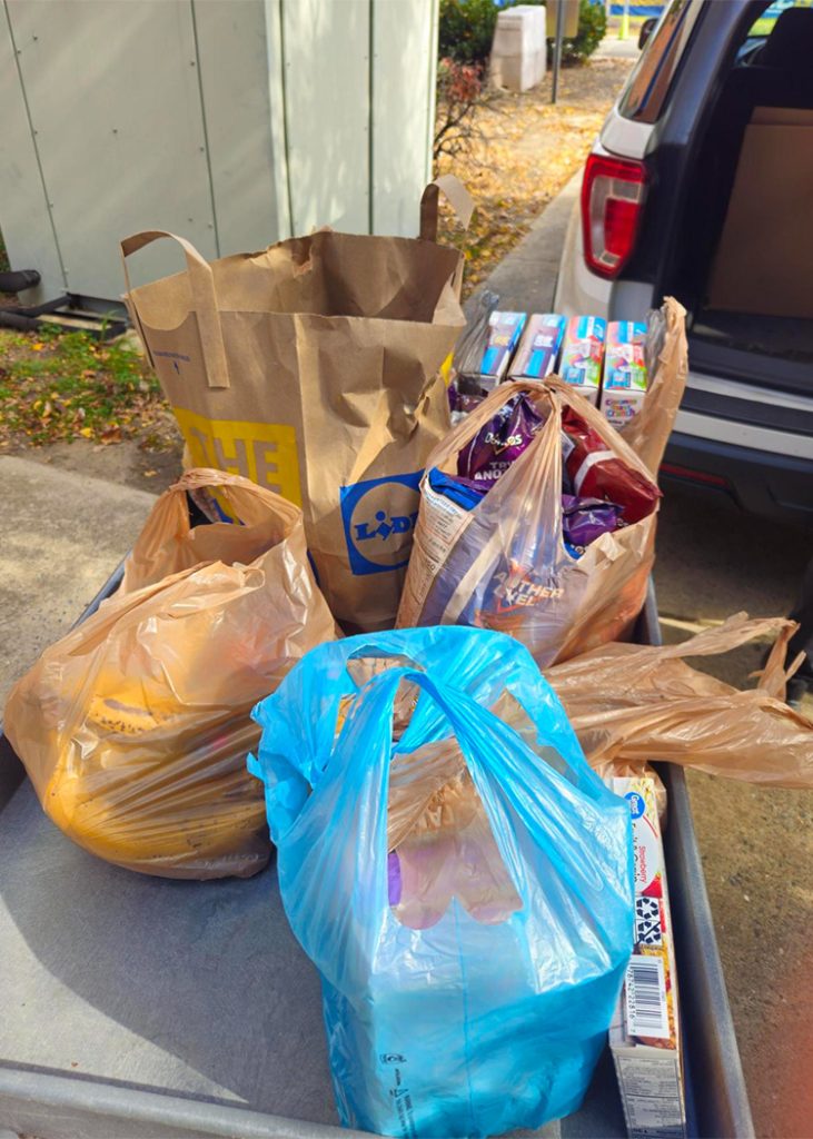 Bags of donated non-perishable food.