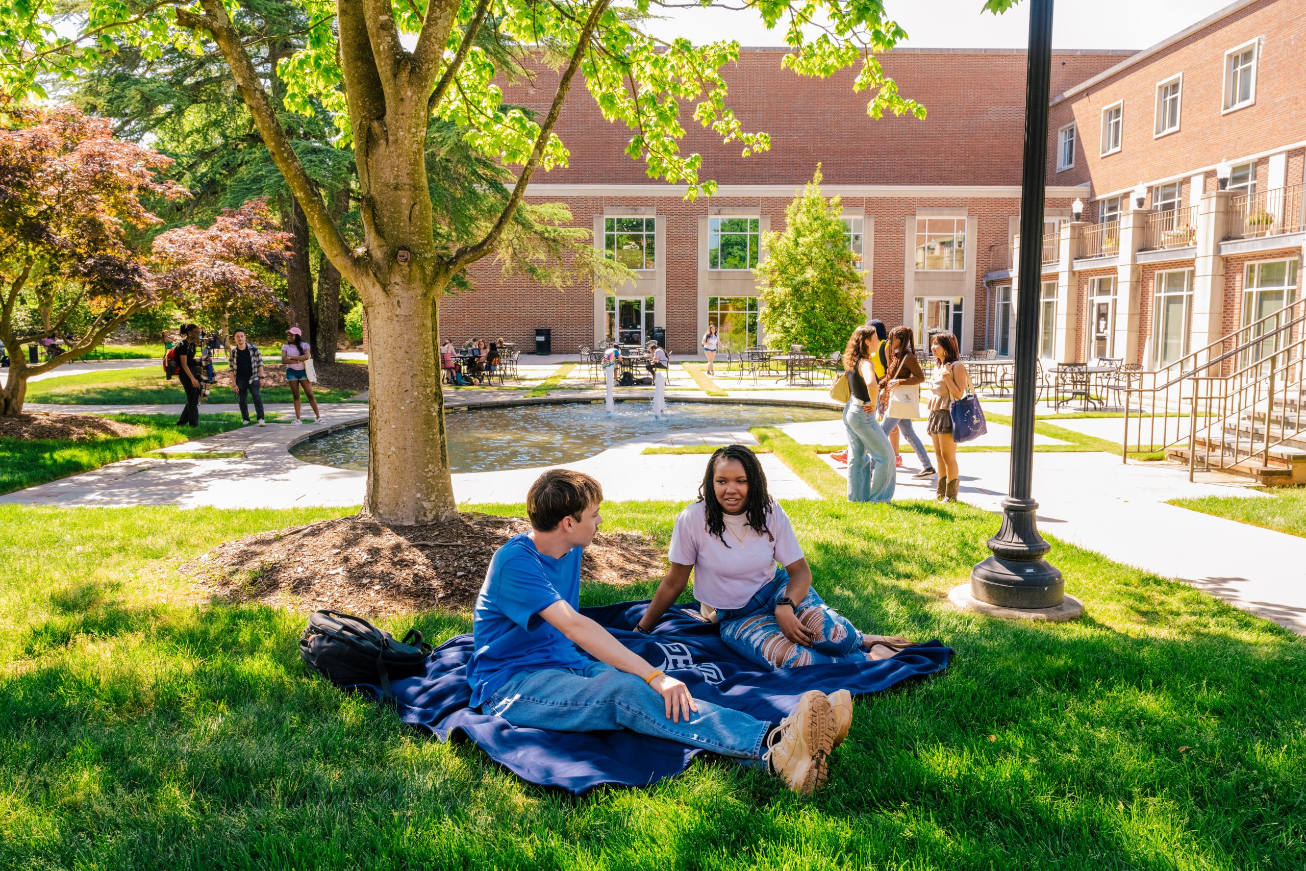 students sitting outside on a spring day on campus