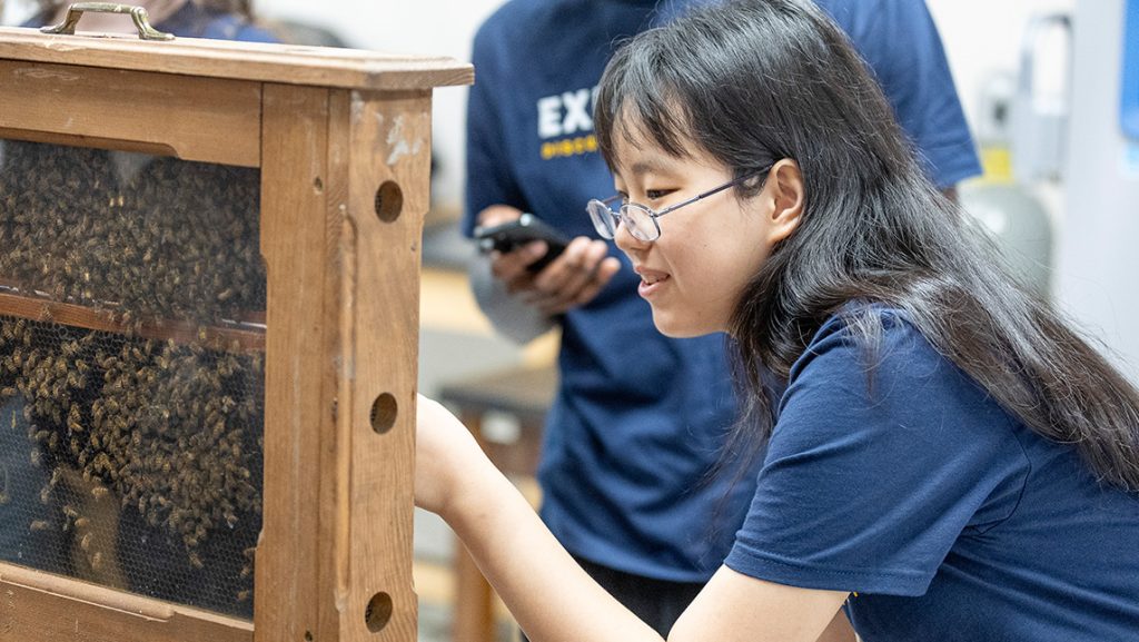 A high school student looks at a beehive.