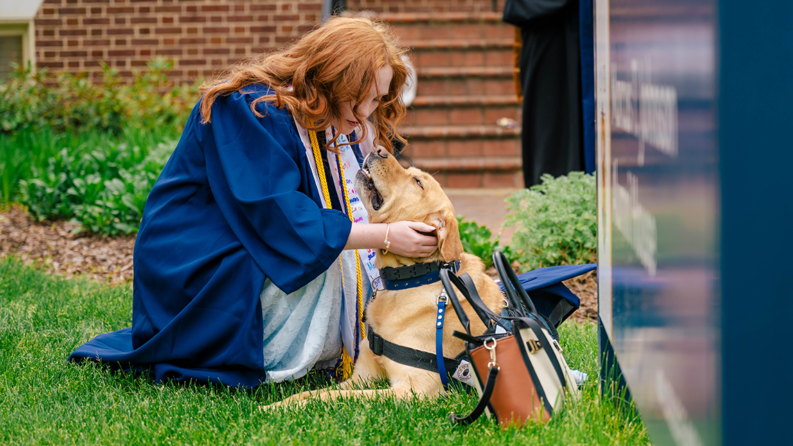 AnnaGrace Berry in a blue cap and gown kneels on the grass, gently holding and leaning toward a golden retriever wearing a service-style harness. The student’s decorated stole and cords are visible, and a handbag and cap rest nearby, with brick steps and greenery in the background.