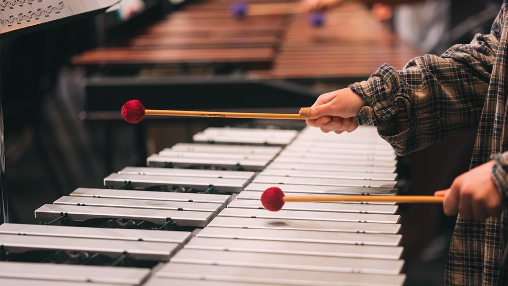 Close-up on a xylophone in an orchestra.