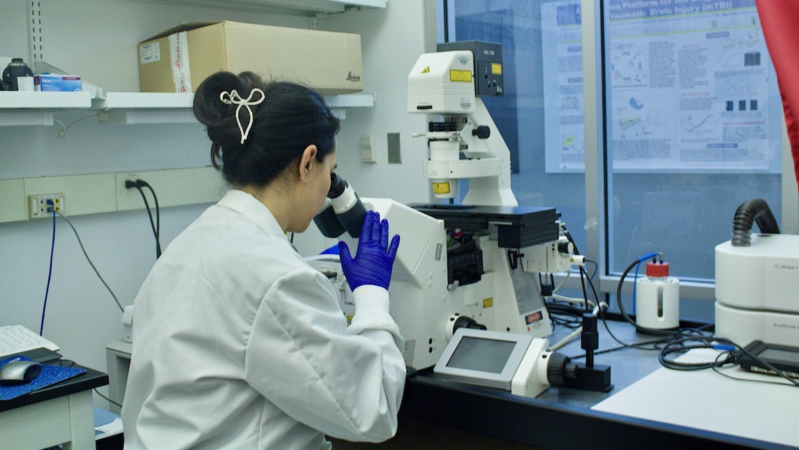 UNCG JSNN in the lab.